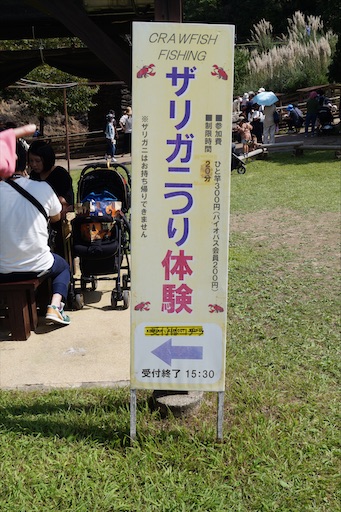 f:id:honeyhornet:20200924163814j:image