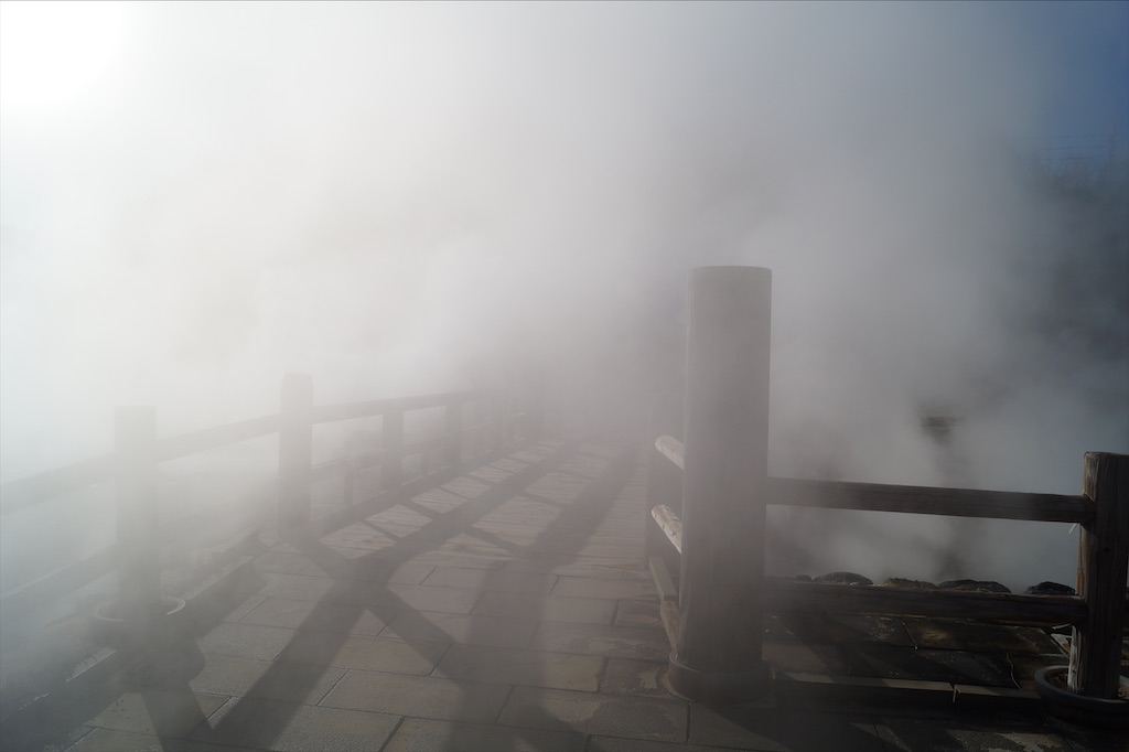 f:id:honeyhornet:20201122085343j:image