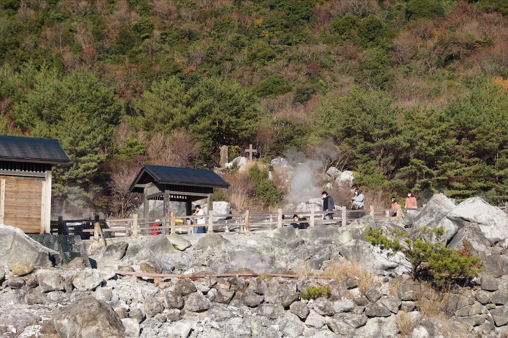 f:id:honeyhornet:20201122091725j:image