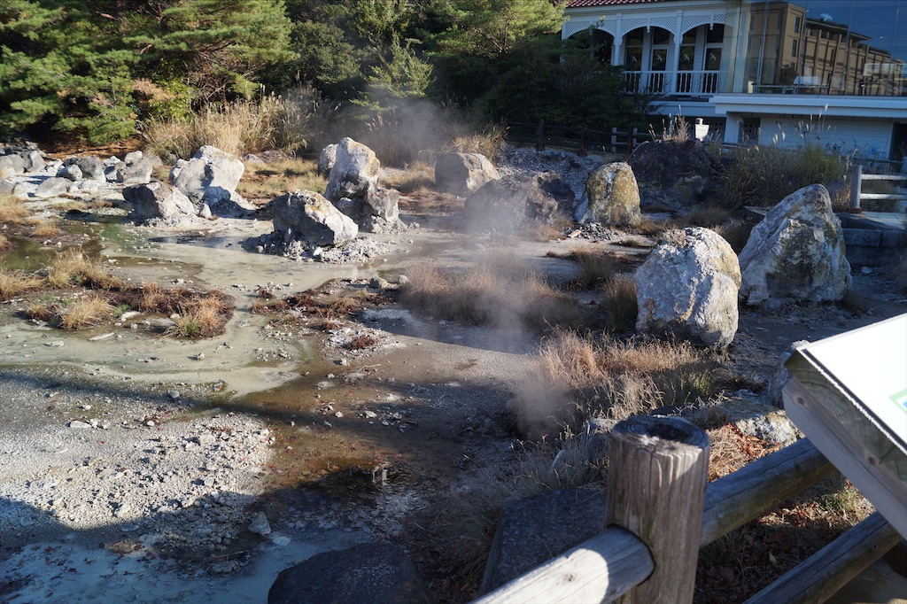 f:id:honeyhornet:20201122091732j:image