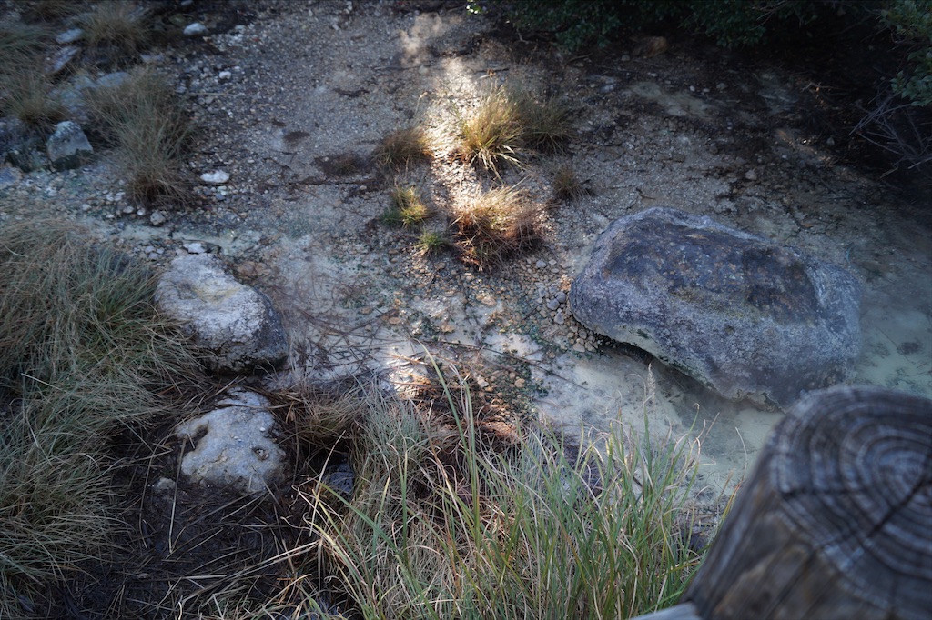 f:id:honeyhornet:20201122091741j:image