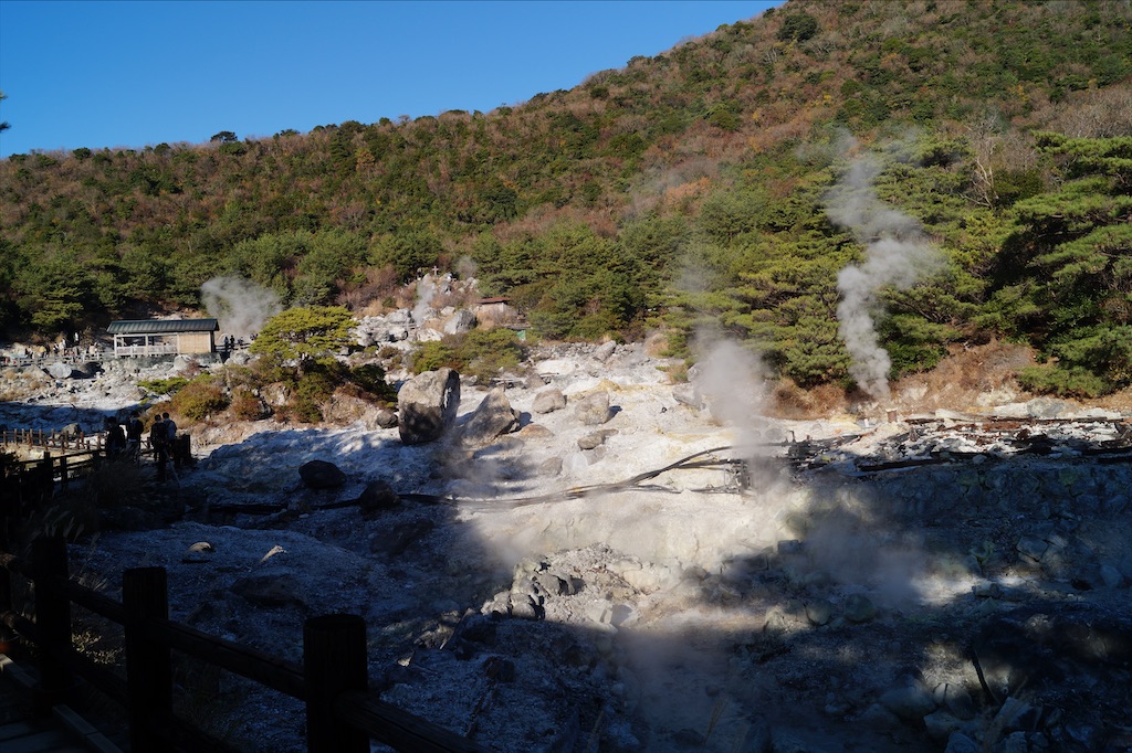 f:id:honeyhornet:20201122091749j:image