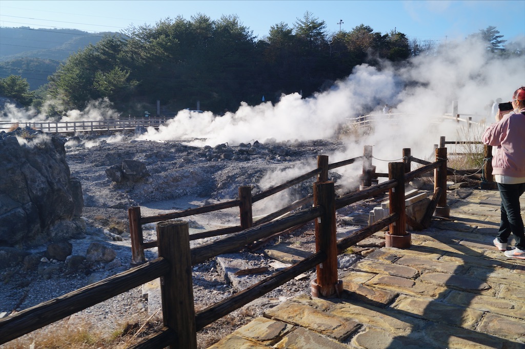 f:id:honeyhornet:20201122091802j:image