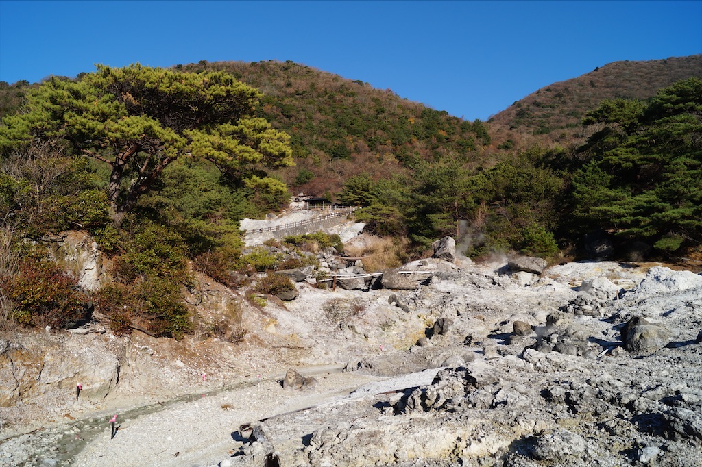 f:id:honeyhornet:20201122091806j:image