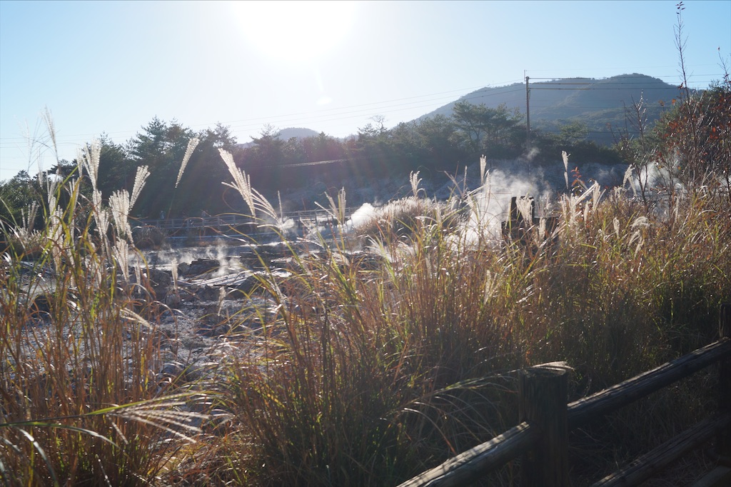 f:id:honeyhornet:20201122091812j:image