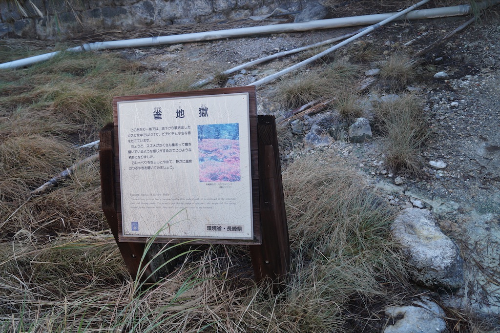 f:id:honeyhornet:20201122091819j:image