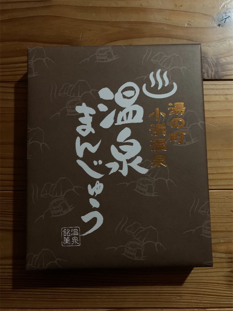 f:id:honeyhornet:20201122094023j:image