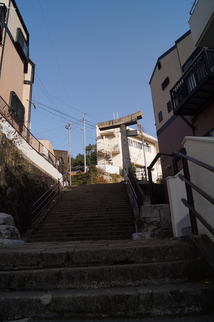 f:id:honeyhornet:20210117233206j:image