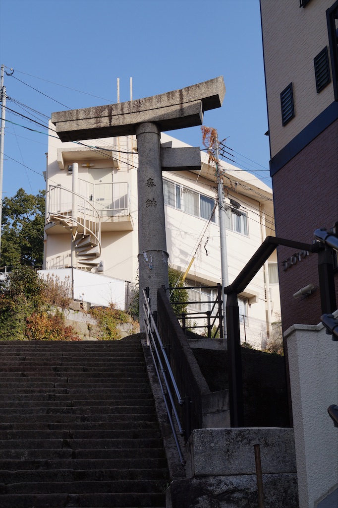 f:id:honeyhornet:20210117233211j:image