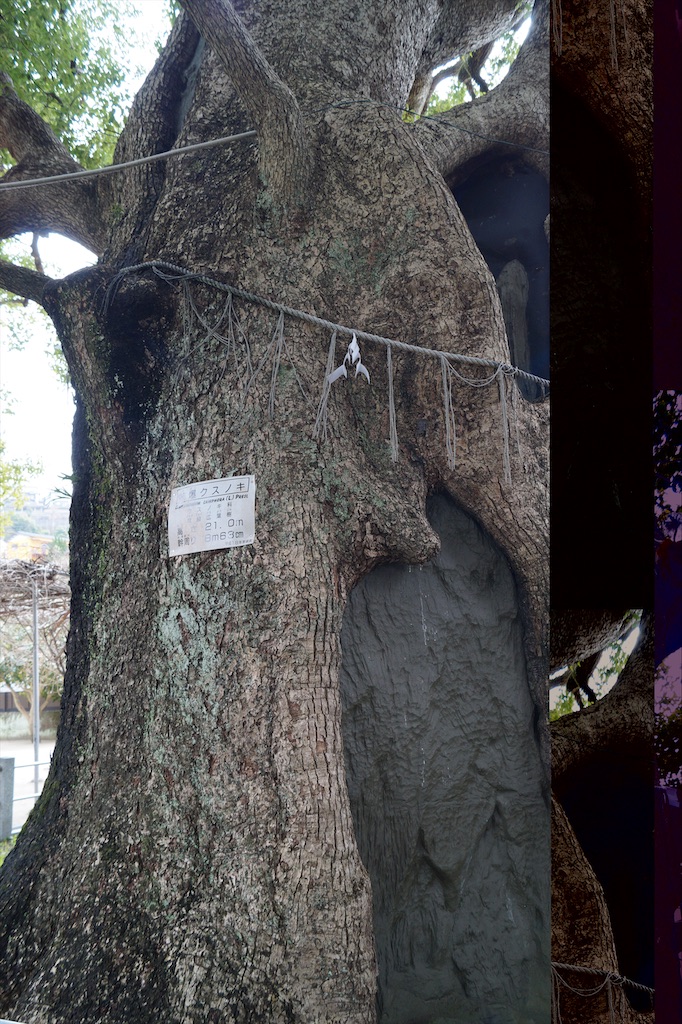 f:id:honeyhornet:20210207153951j:image