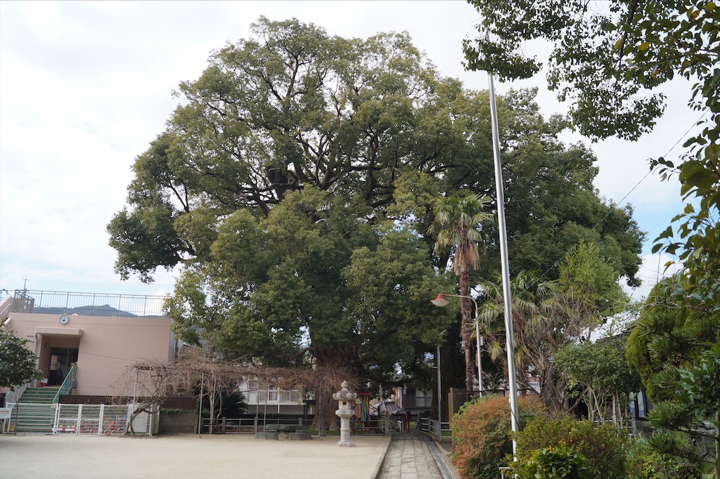 f:id:honeyhornet:20210207155529j:image