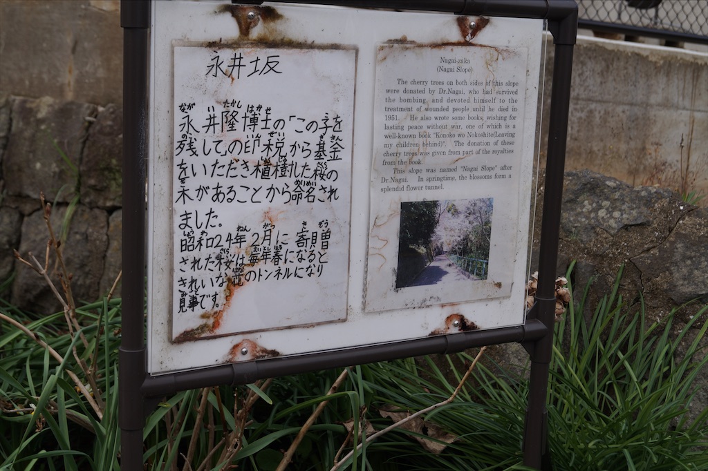 f:id:honeyhornet:20210207161109j:image f:id:honeyhornet:20210207161109j:image