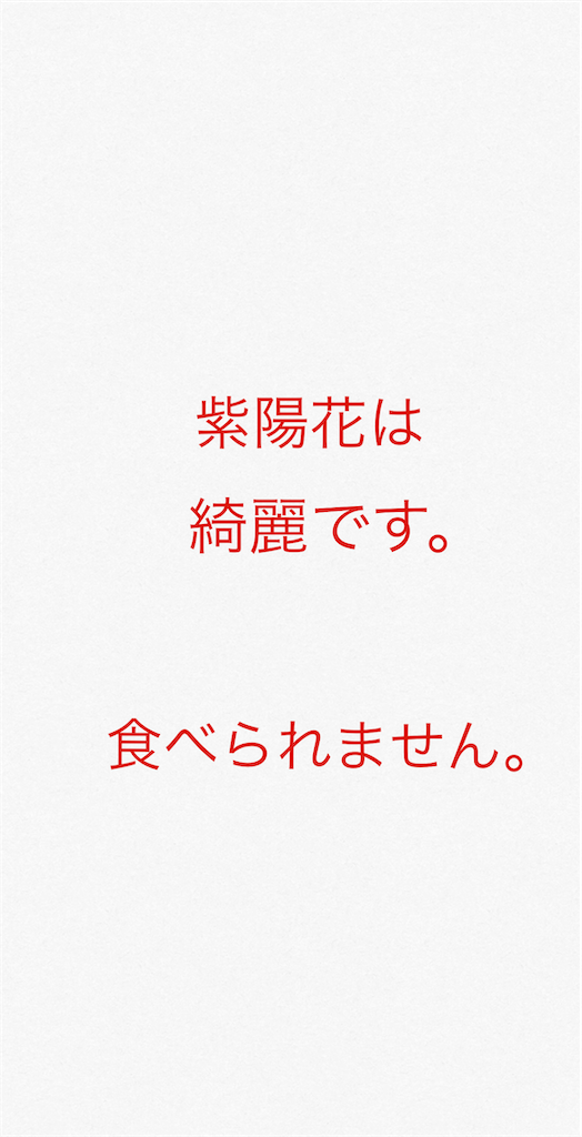 f:id:honeyhornet:20210216224203p:image