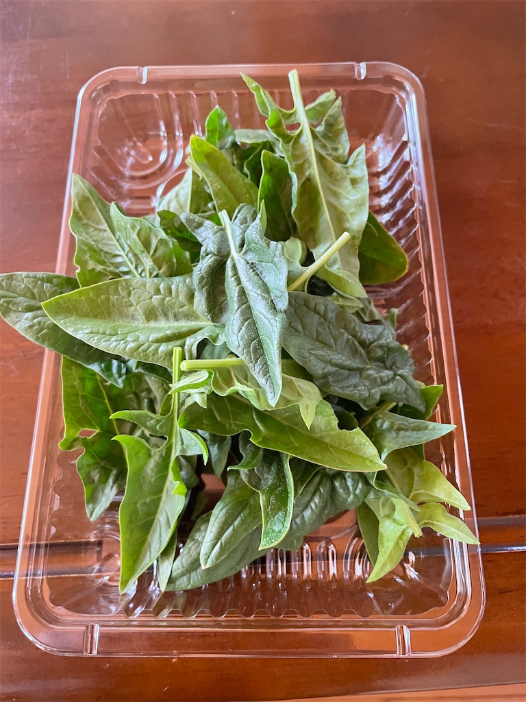 f:id:honeyhornet:20210228125726j:image f:id:honeyhornet:20210228125726j:image