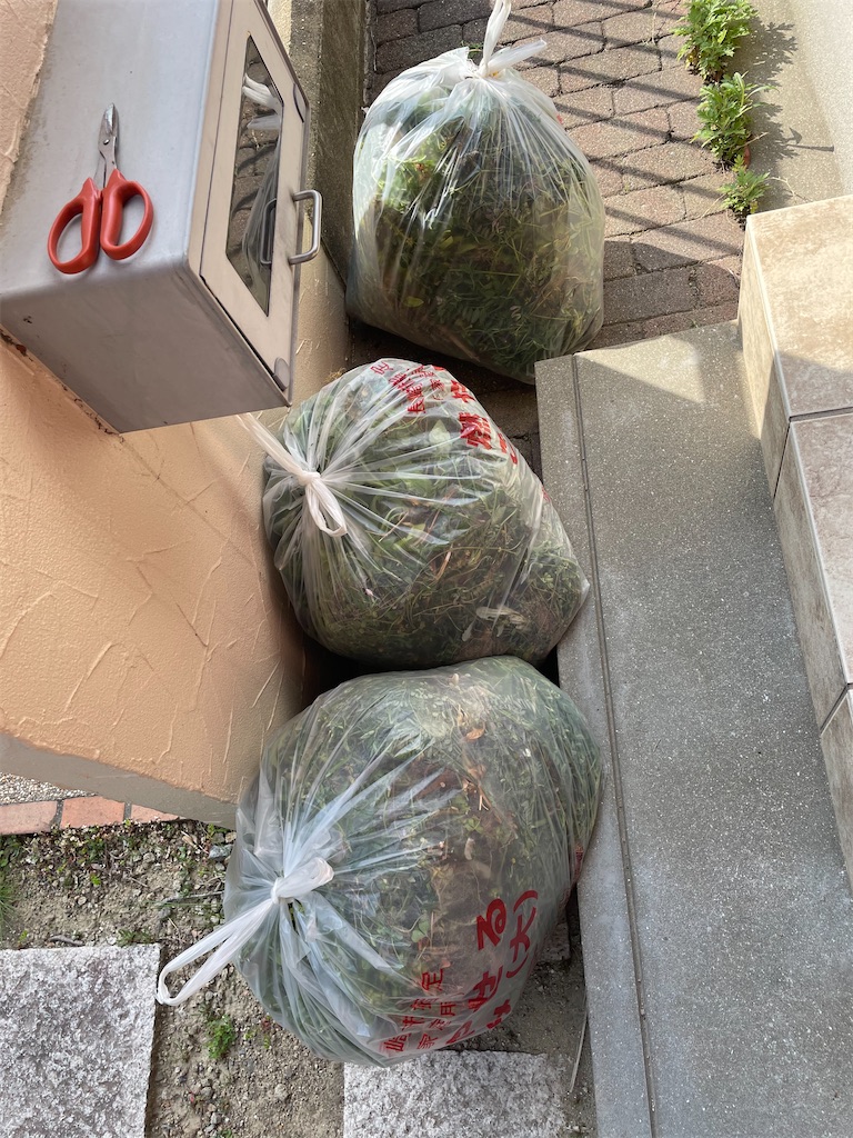 f:id:honeyhornet:20210414074519j:image