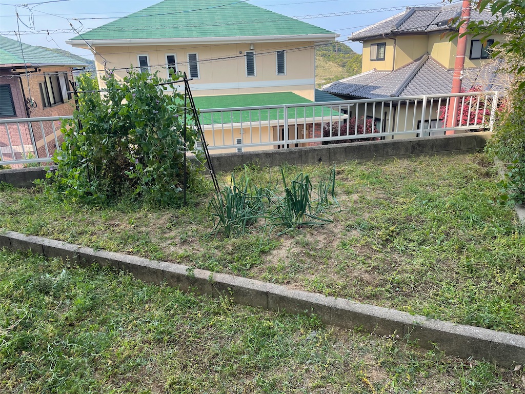 f:id:honeyhornet:20210414074522j:image