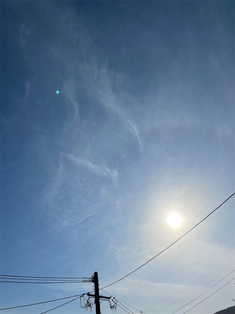 f:id:honeyhornet:20210529173115j:image