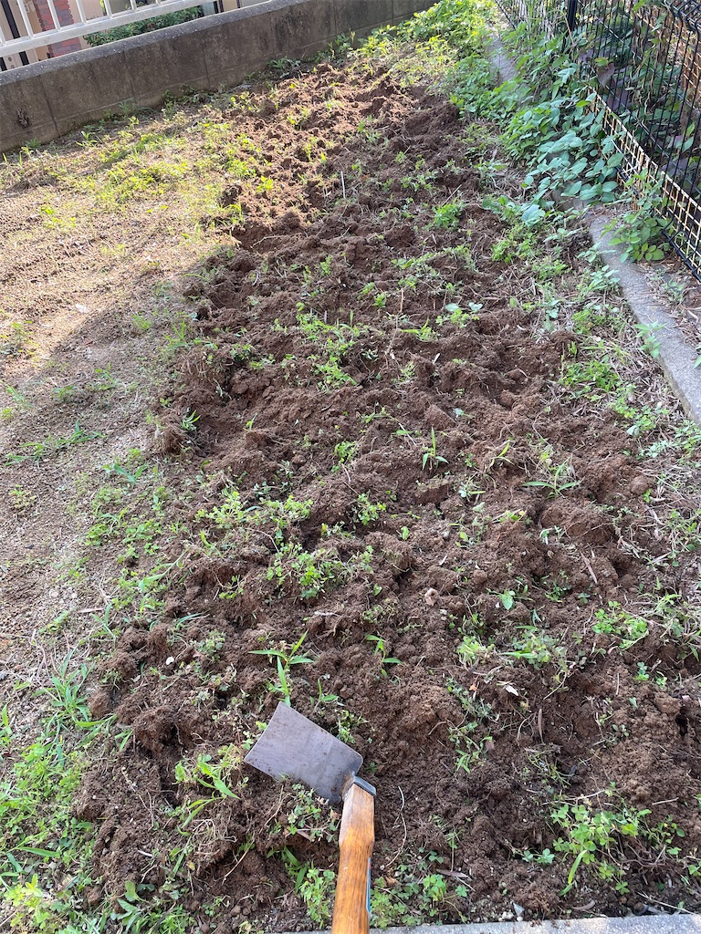 f:id:honeyhornet:20210529173149j:image