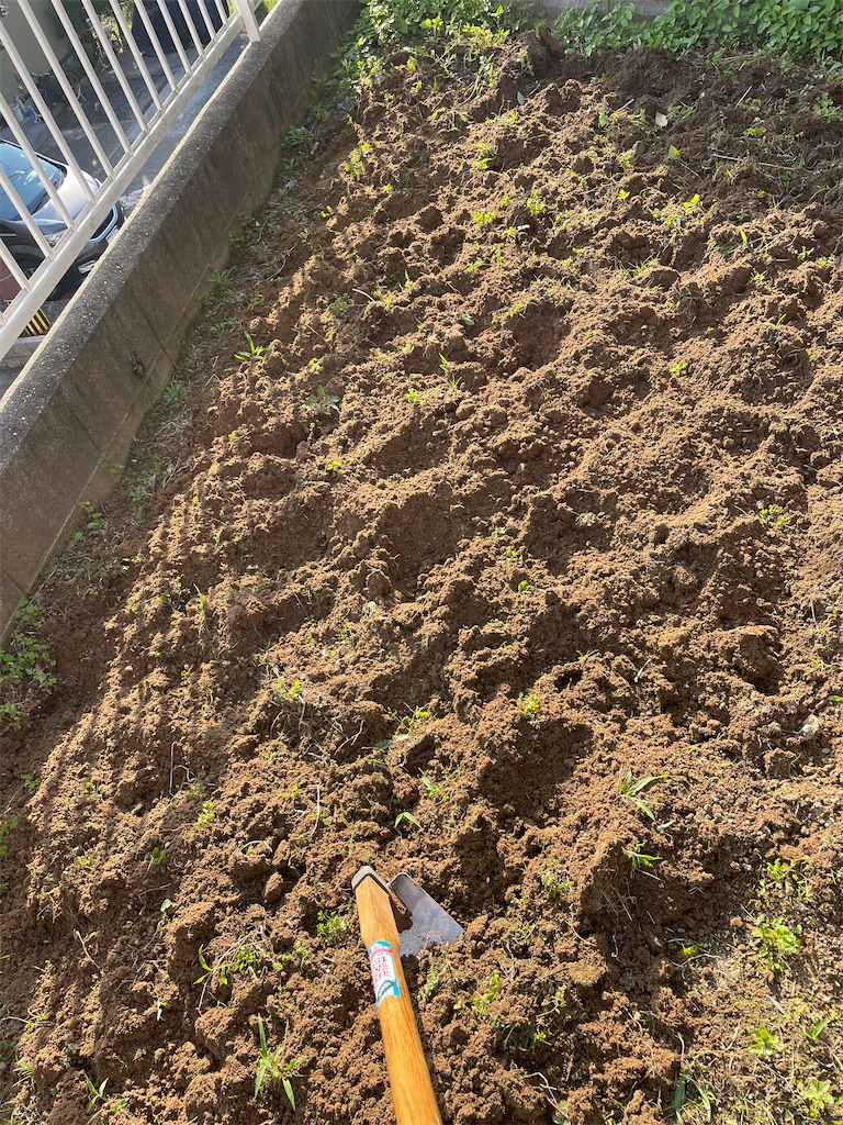 f:id:honeyhornet:20210529173152j:image