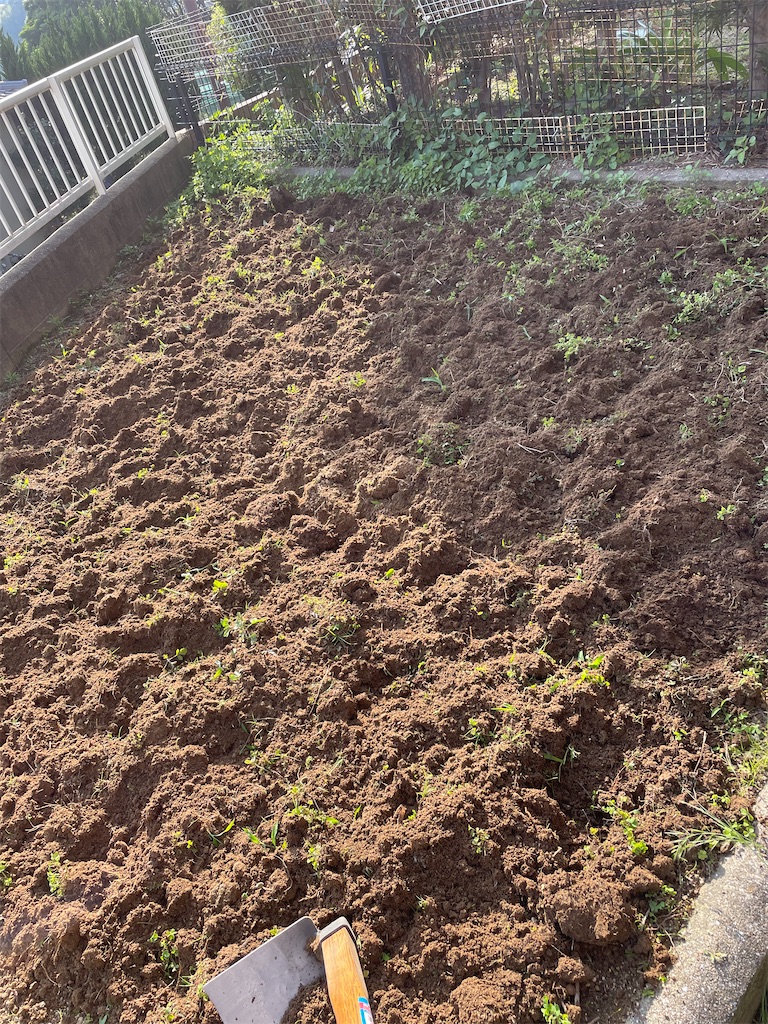 f:id:honeyhornet:20210529173156j:image