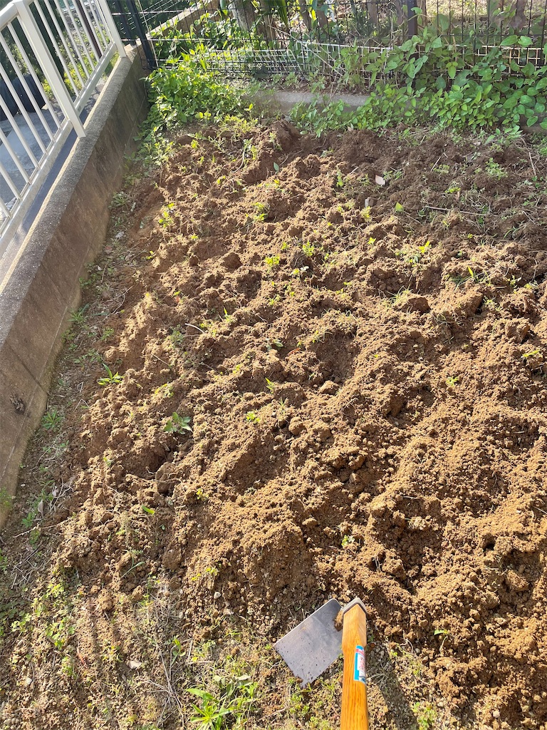 f:id:honeyhornet:20210529173207j:image