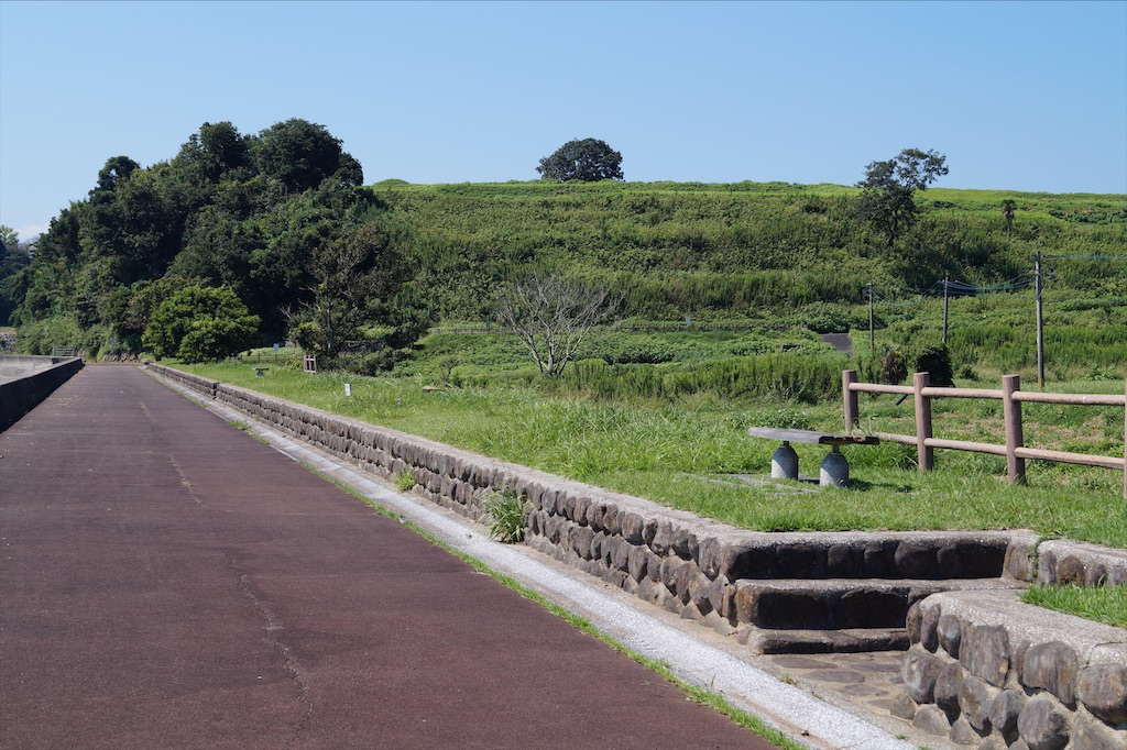 f:id:honeyhornet:20210920164406j:image