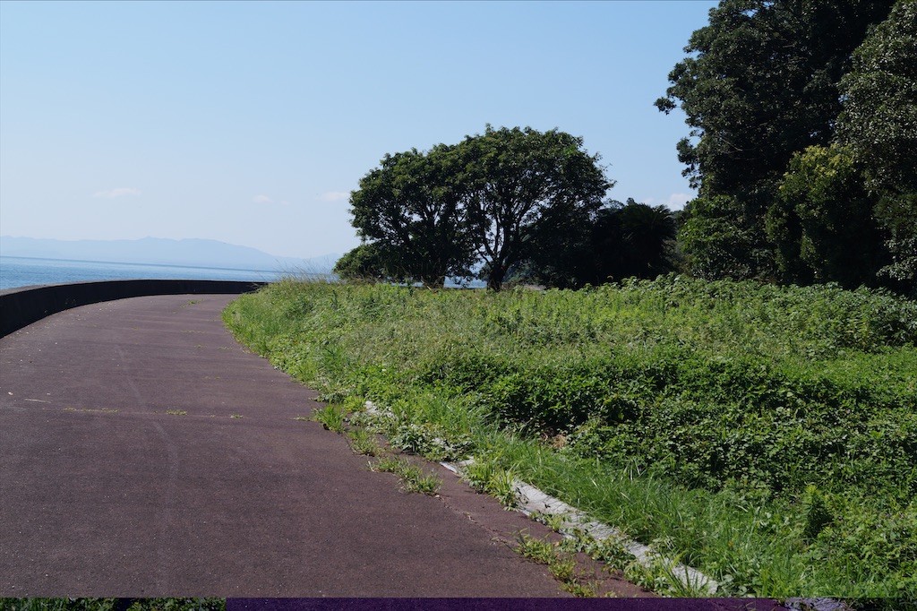 f:id:honeyhornet:20210920164416j:image