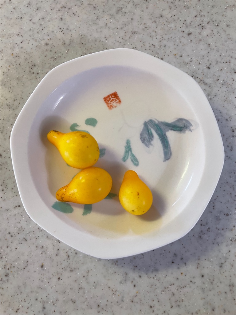 f:id:honeyhornet:20210925090851j:image