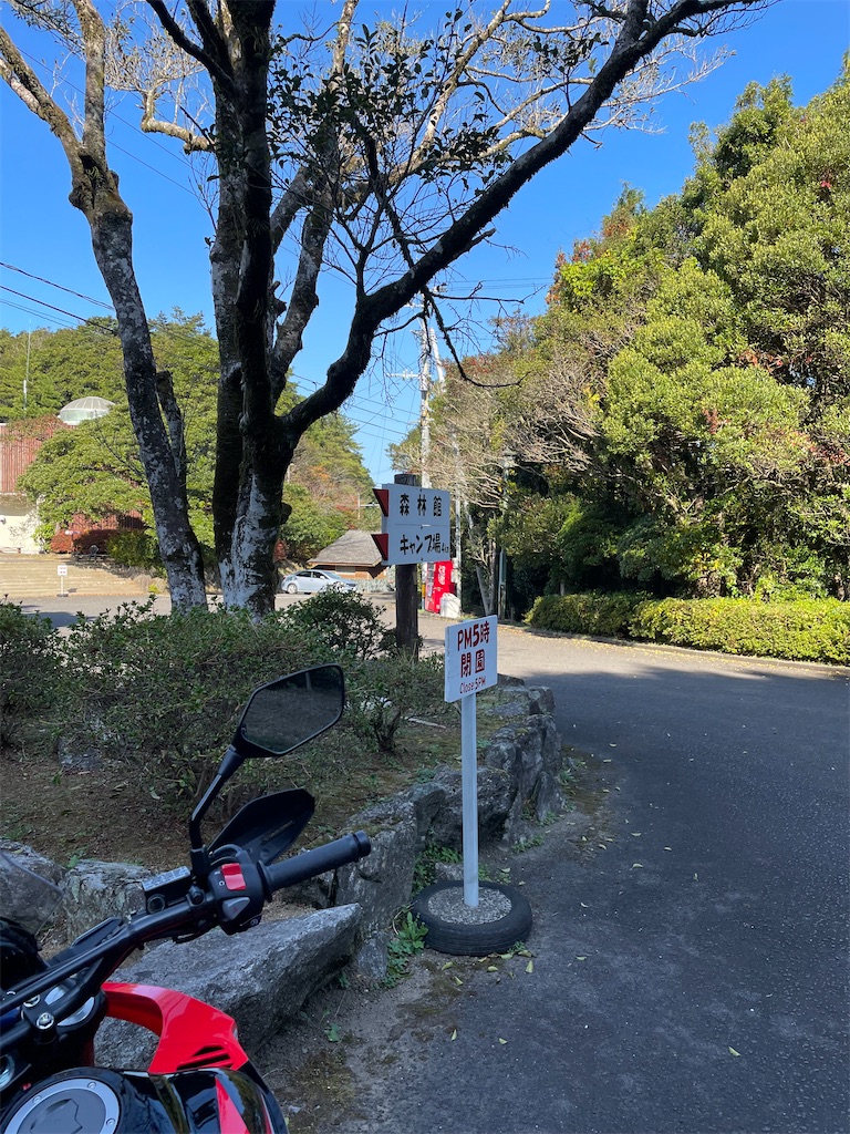 f:id:honeyhornet:20211103123817j:image