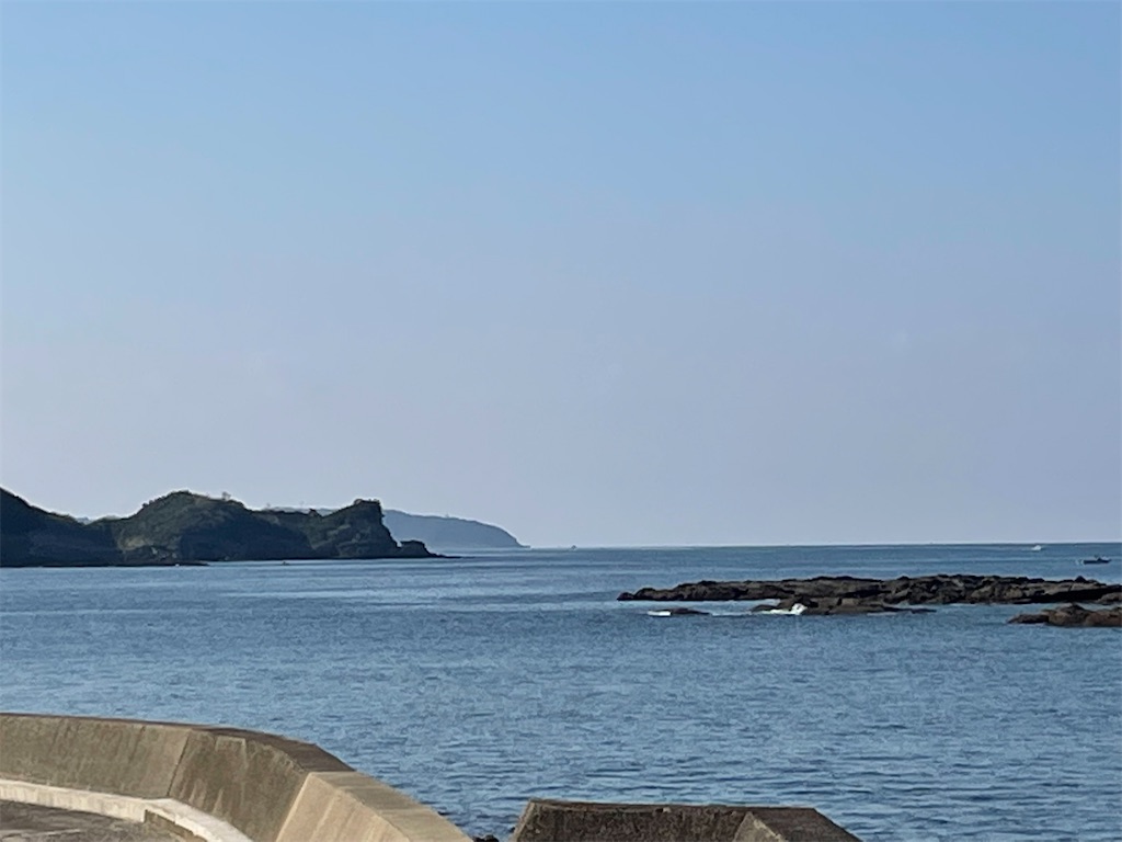 f:id:honeyhornet:20211103123822j:image