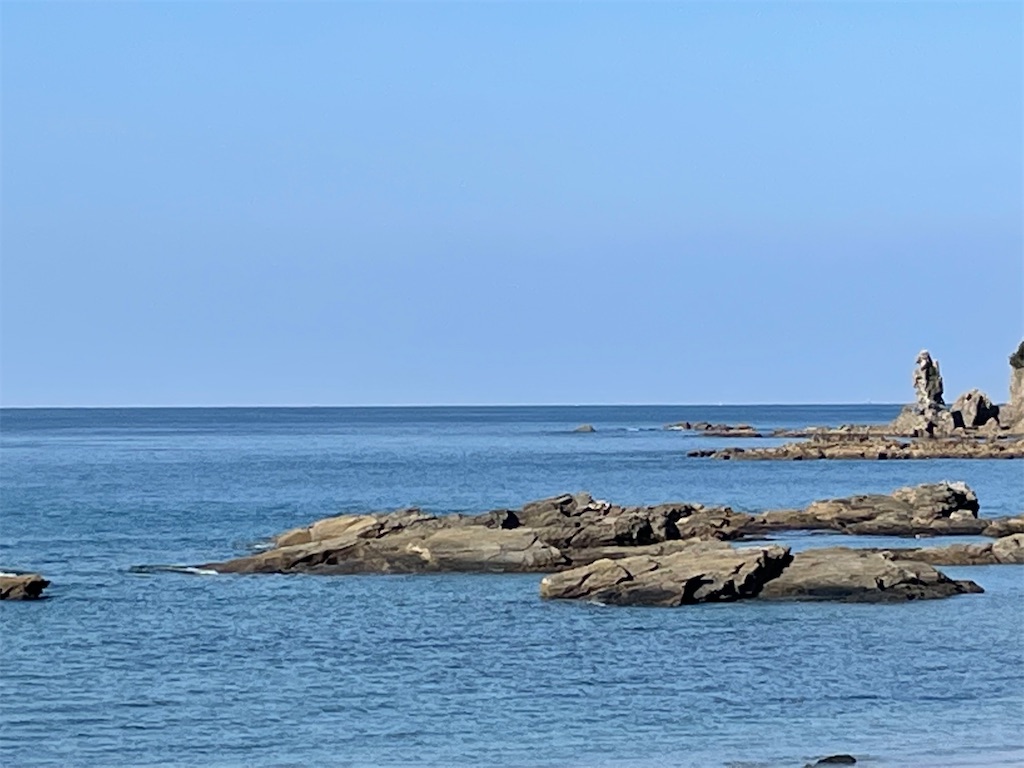 f:id:honeyhornet:20211103123826j:image