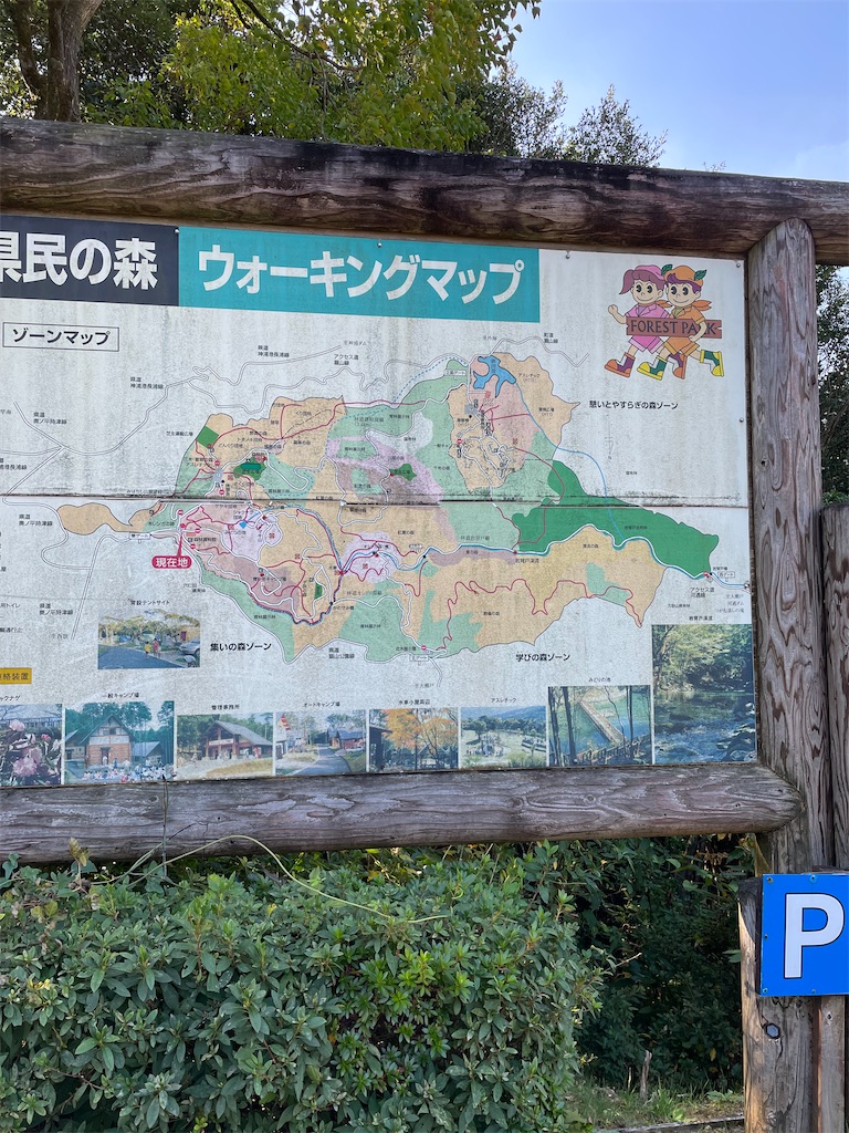 f:id:honeyhornet:20211103123829j:image