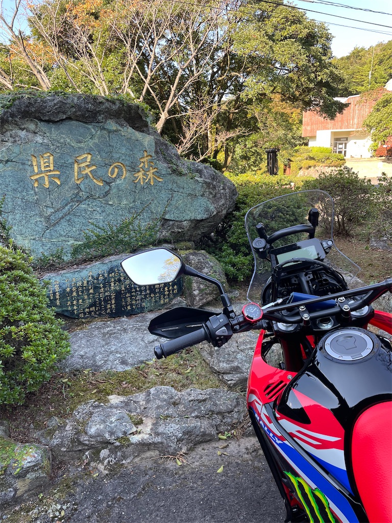 f:id:honeyhornet:20211103123832j:image