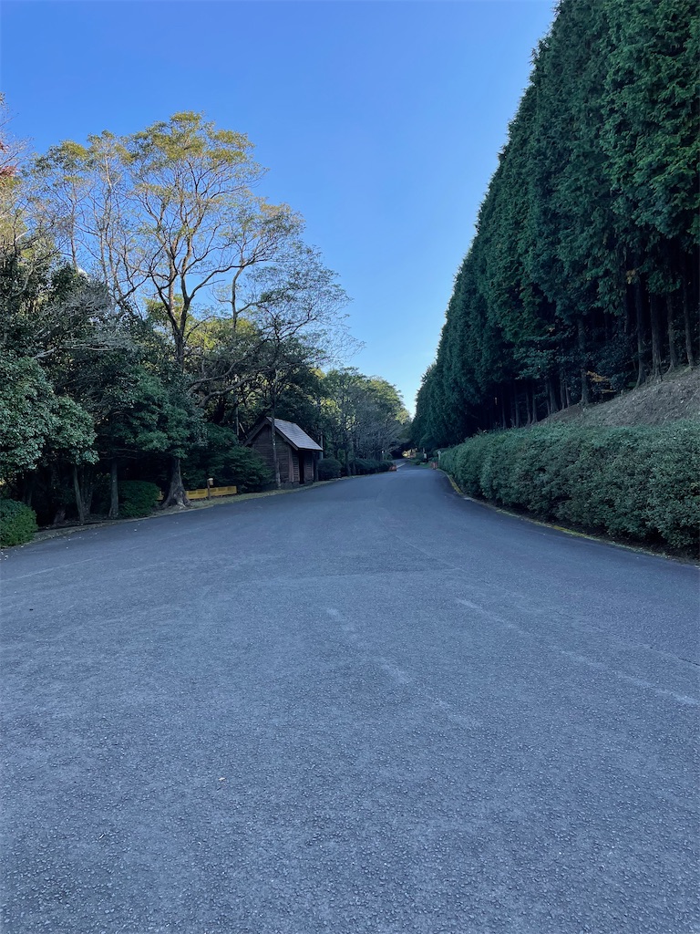 f:id:honeyhornet:20211103150350j:image