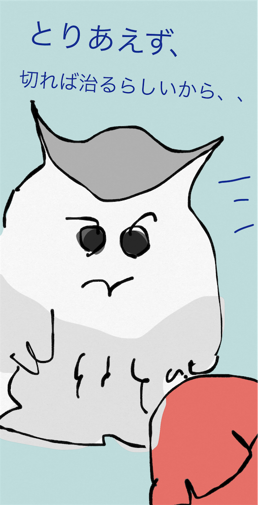 f:id:honeyhornet:20211116232134p:image