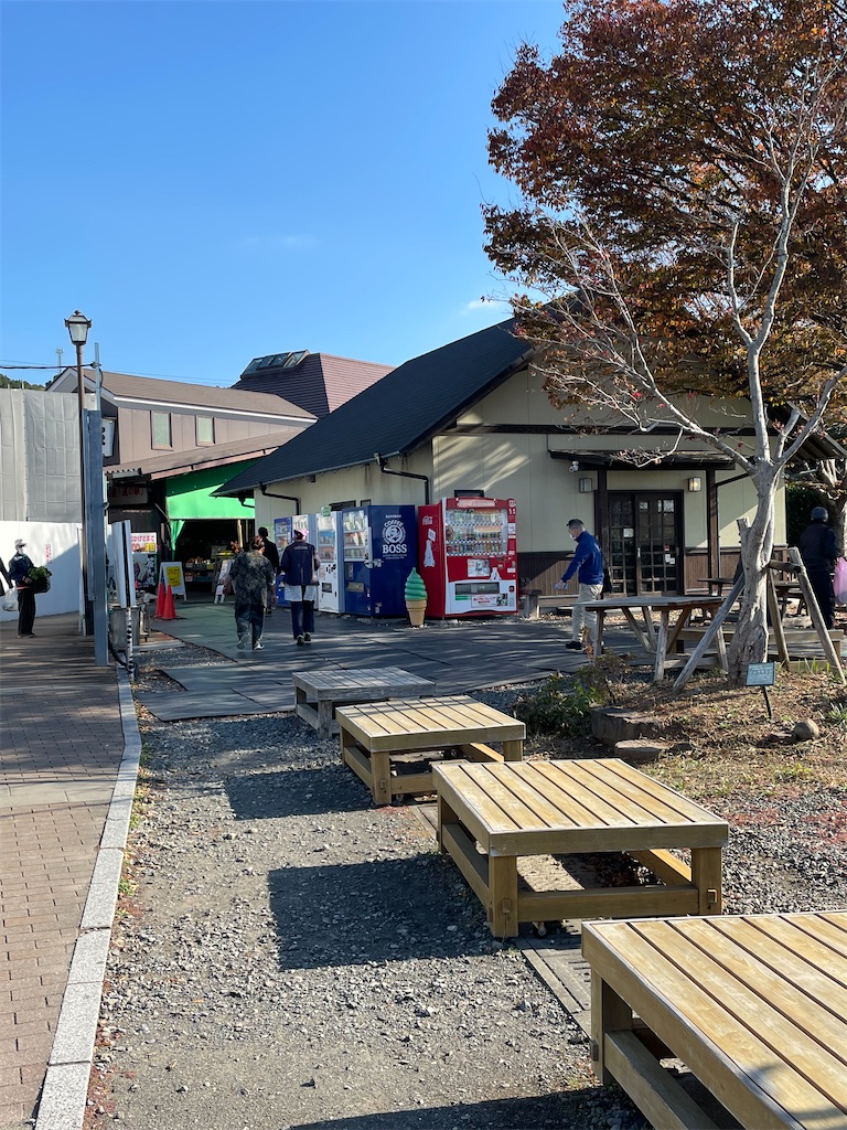 f:id:honeyhornet:20211127144430j:image