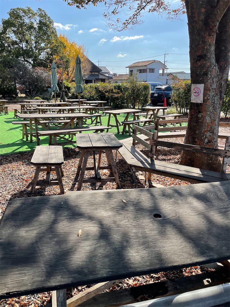 f:id:honeyhornet:20211127144441j:image