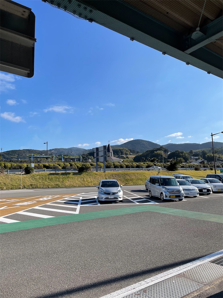 f:id:honeyhornet:20211127144446j:image