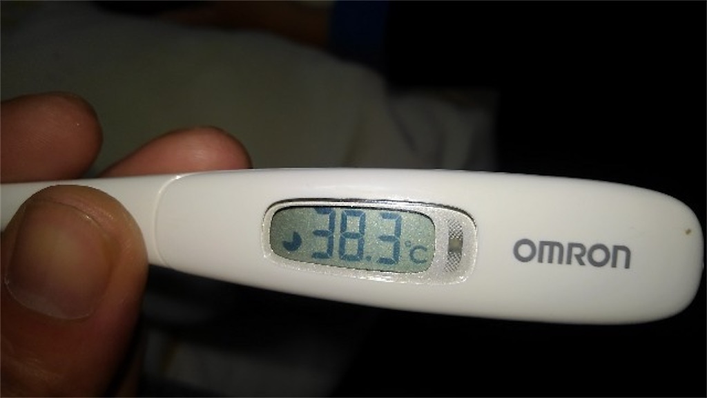 f:id:honeyhornet:20220324014253j:image