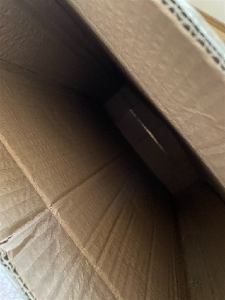 f:id:honeyhornet:20220912011659j:image