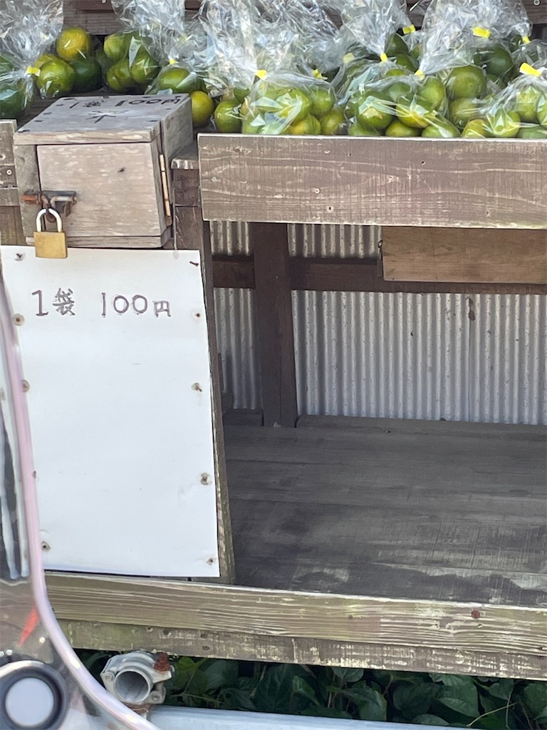 f:id:honeyhornet:20220924121746j:image