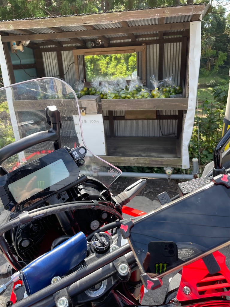 f:id:honeyhornet:20220924121814j:image