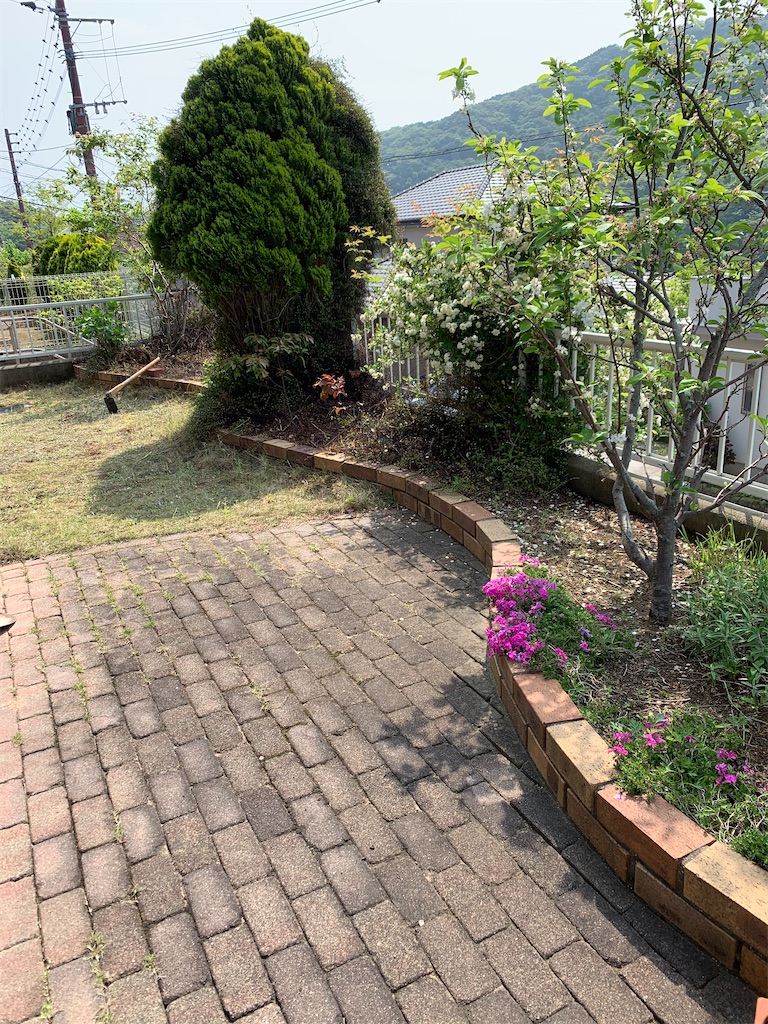 f:id:honeyhornet:20221110072451j:image f:id:honeyhornet:20221110072451j:image