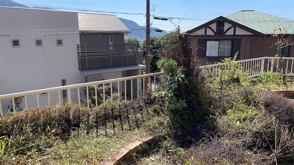 f:id:honeyhornet:20221116071048j:image f:id:honeyhornet:20221116071048j:image