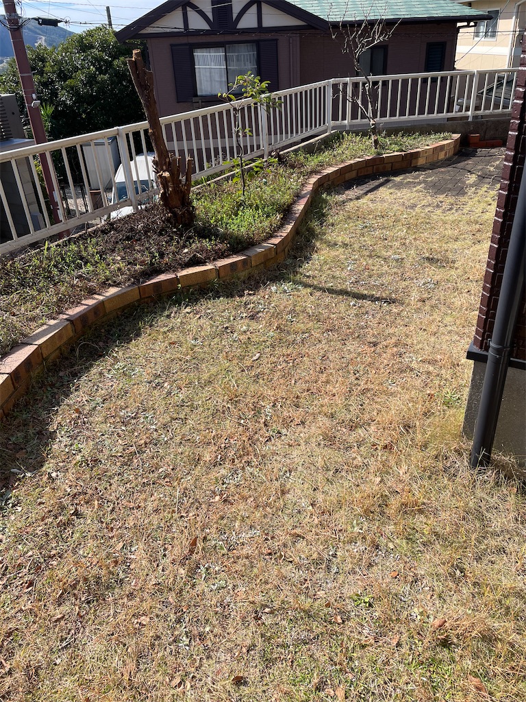 f:id:honeyhornet:20221116071051j:image f:id:honeyhornet:20221116071051j:image