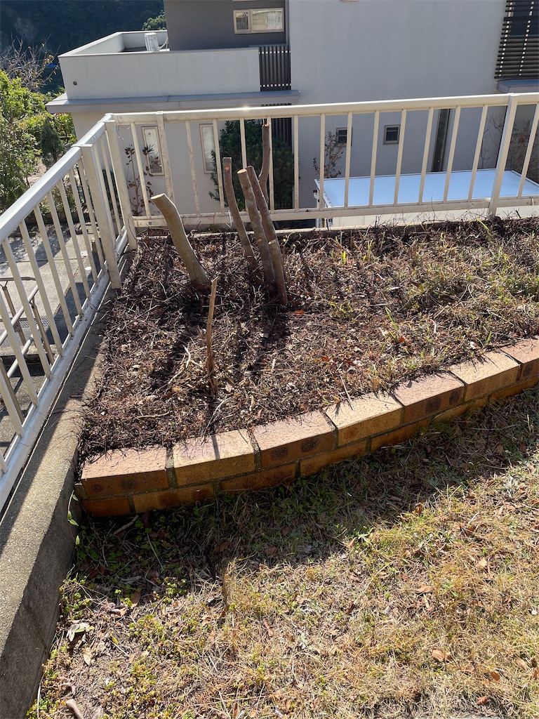 f:id:honeyhornet:20221116071054j:image f:id:honeyhornet:20221116071054j:image