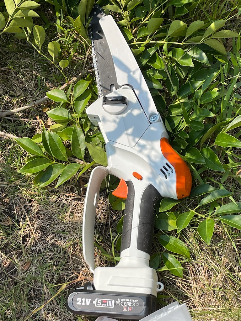 f:id:honeyhornet:20221123034249j:image f:id:honeyhornet:20221123034249j:image