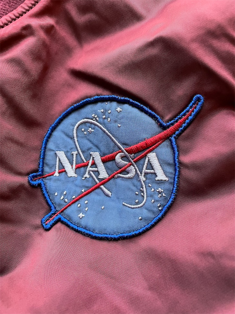 f:id:honeyhornet:20221124170306j:image