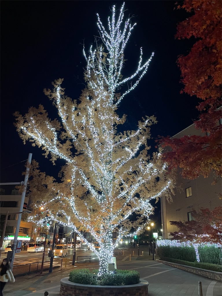 f:id:honeyhornet:20221221071626j:image