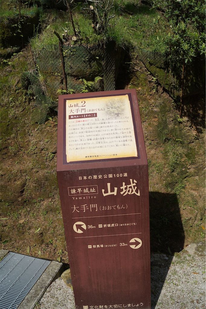 f:id:honeyhornet:20230403001835j:image
